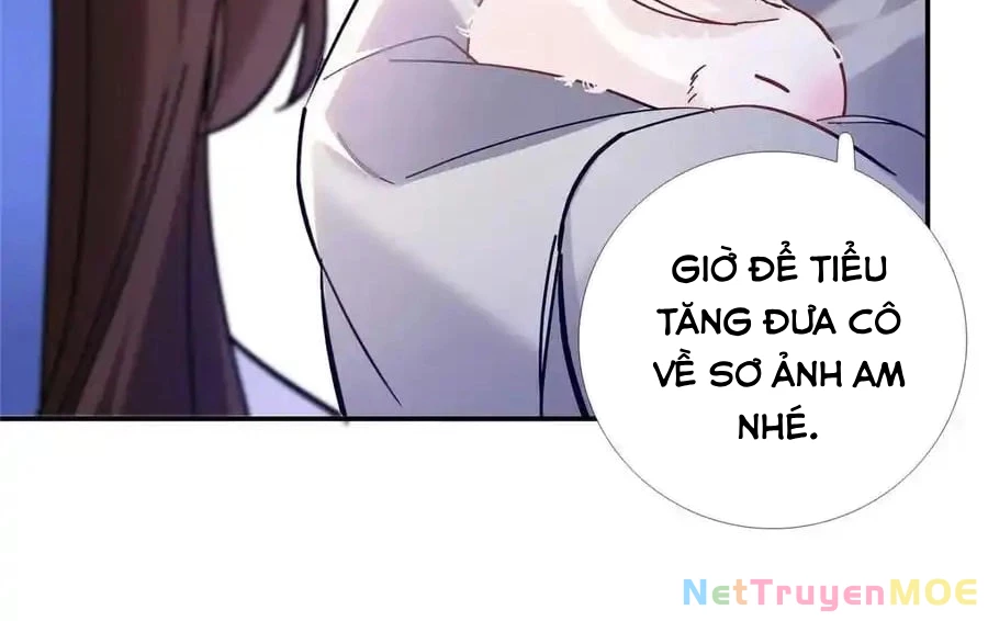 Thiều Quang Mạn Chapter 167 - Trang 4