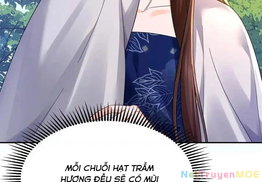 Thiều Quang Mạn Chapter 172 - Trang 4