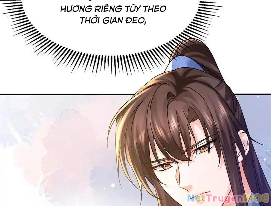 Thiều Quang Mạn Chapter 172 - Trang 4