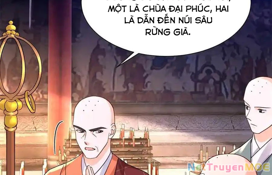 Thiều Quang Mạn Chapter 172 - Trang 4