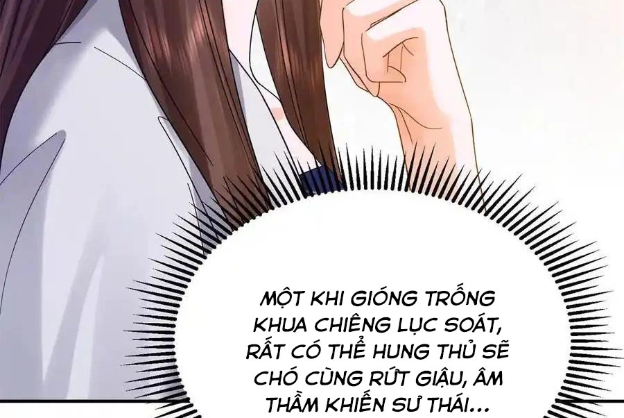 Thiều Quang Mạn Chapter 172 - Trang 4