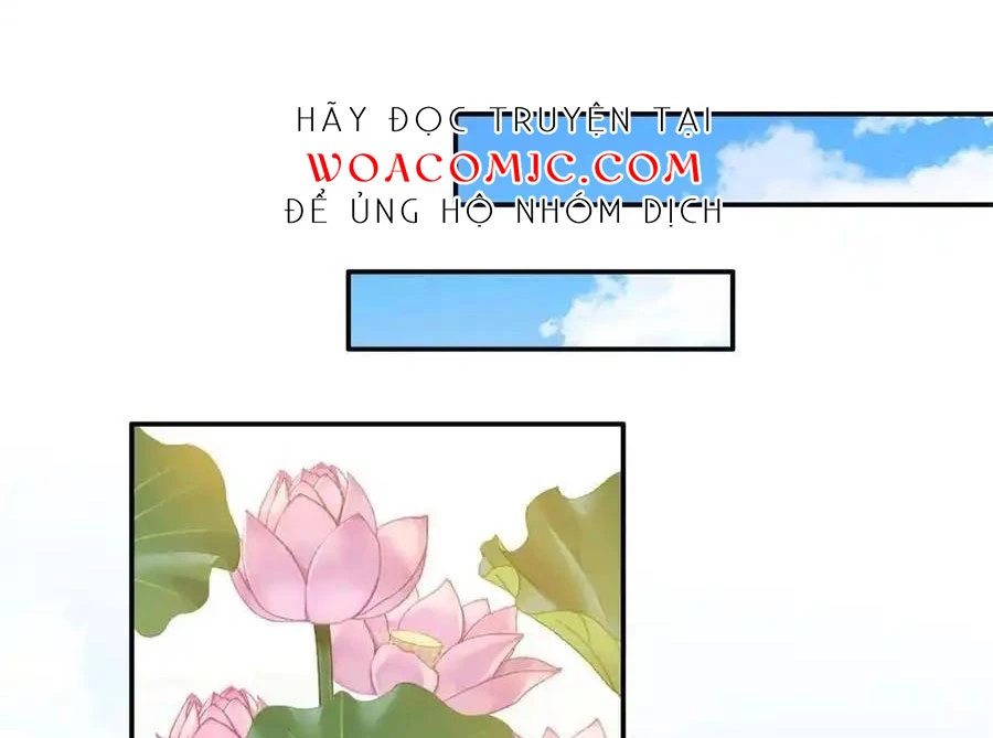 Thiều Quang Mạn Chapter 172 - Trang 4