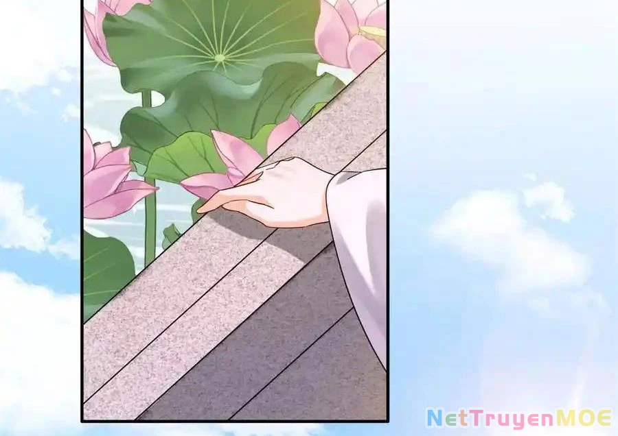 Thiều Quang Mạn Chapter 172 - Trang 4