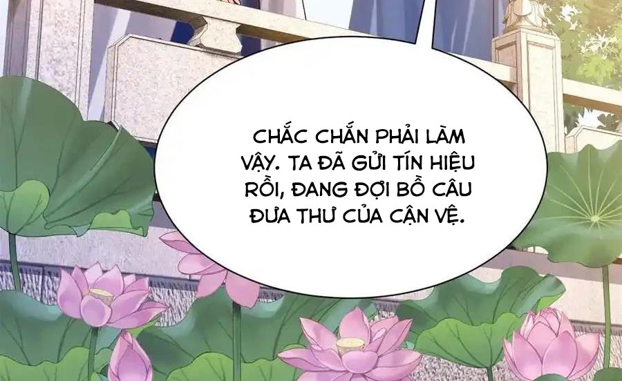 Thiều Quang Mạn Chapter 172 - Trang 4