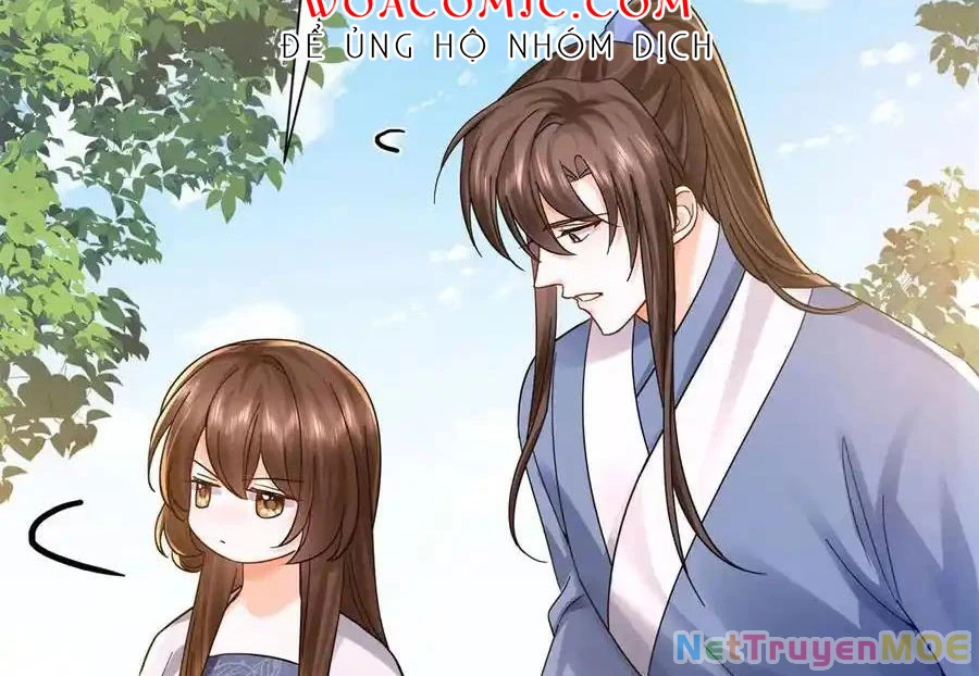 Thiều Quang Mạn Chapter 172 - Trang 4