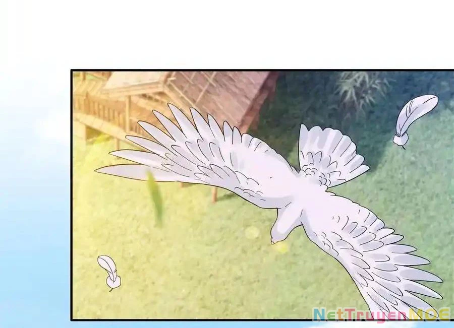 Thiều Quang Mạn Chapter 172 - Trang 4