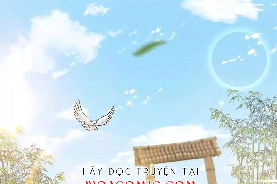 Thiều Quang Mạn Chapter 172 - Trang 4