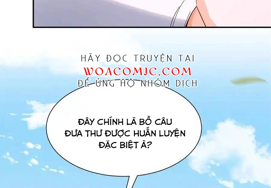 Thiều Quang Mạn Chapter 172 - Trang 4