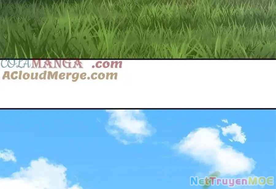 Thiều Quang Mạn Chapter 172 - Trang 4