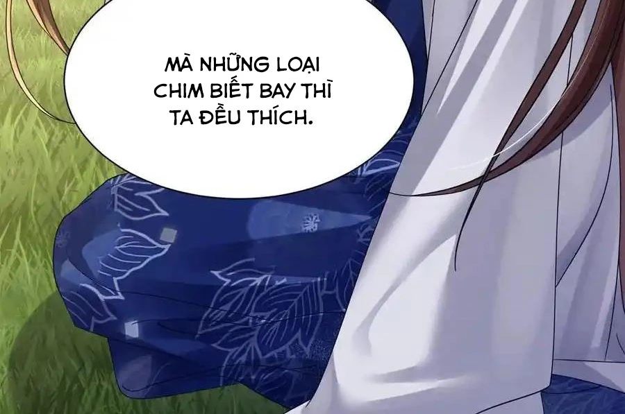 Thiều Quang Mạn Chapter 172 - Trang 4