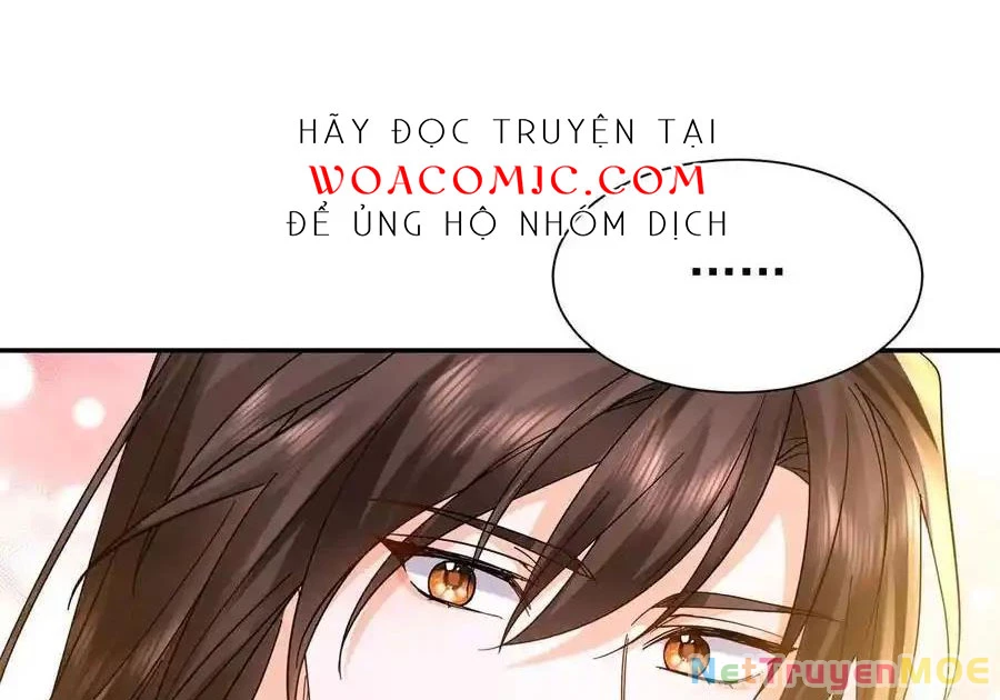 Thiều Quang Mạn Chapter 172 - Trang 4