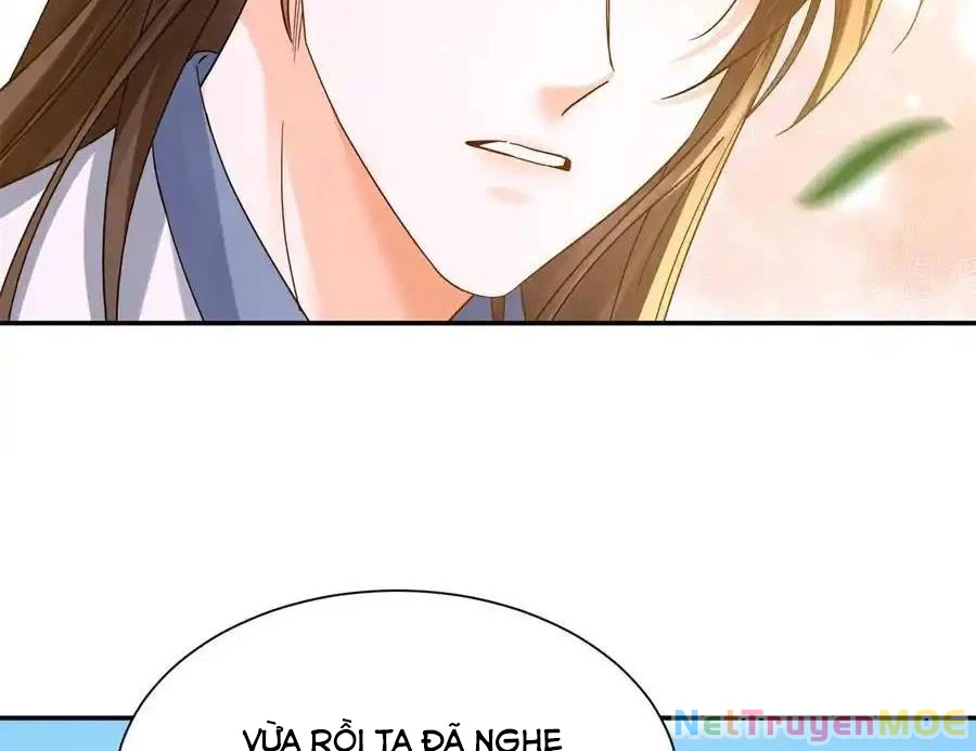 Thiều Quang Mạn Chapter 172 - Trang 4