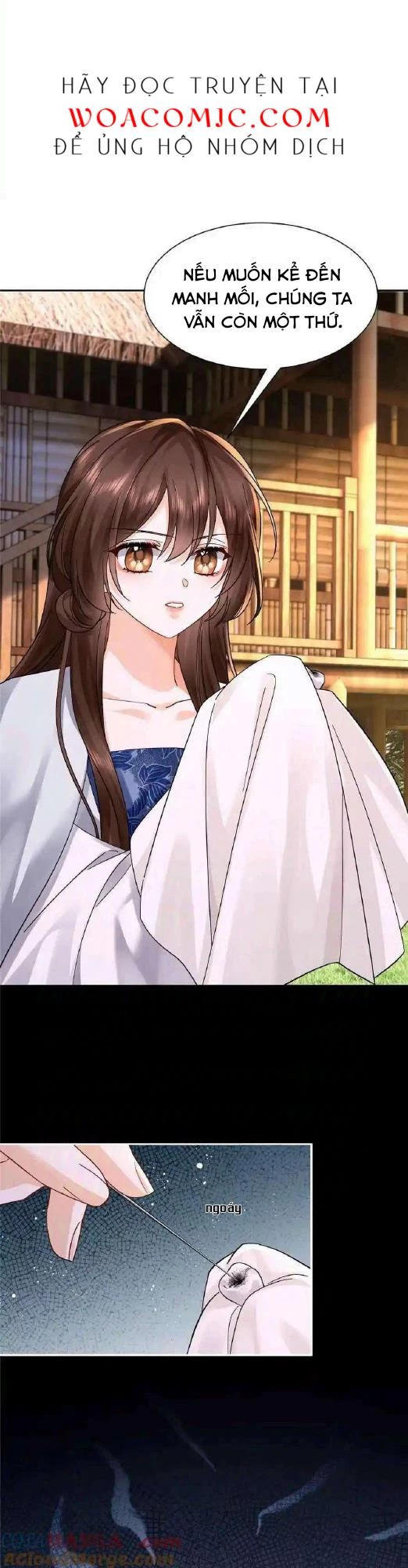 Thiều Quang Mạn Chapter 173 - Trang 4