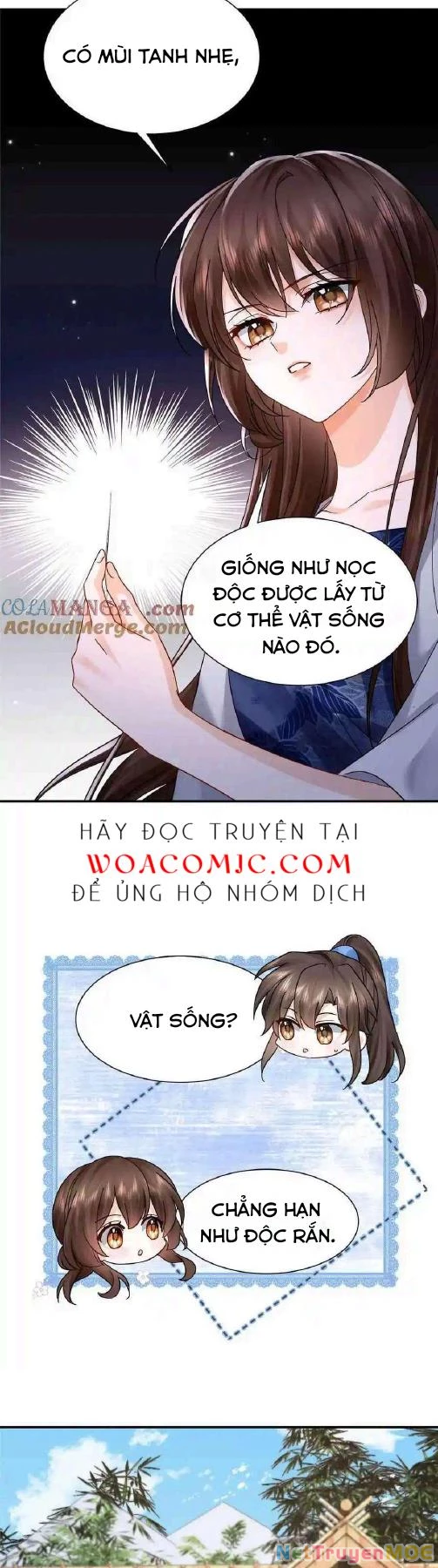 Thiều Quang Mạn Chapter 173 - Trang 4