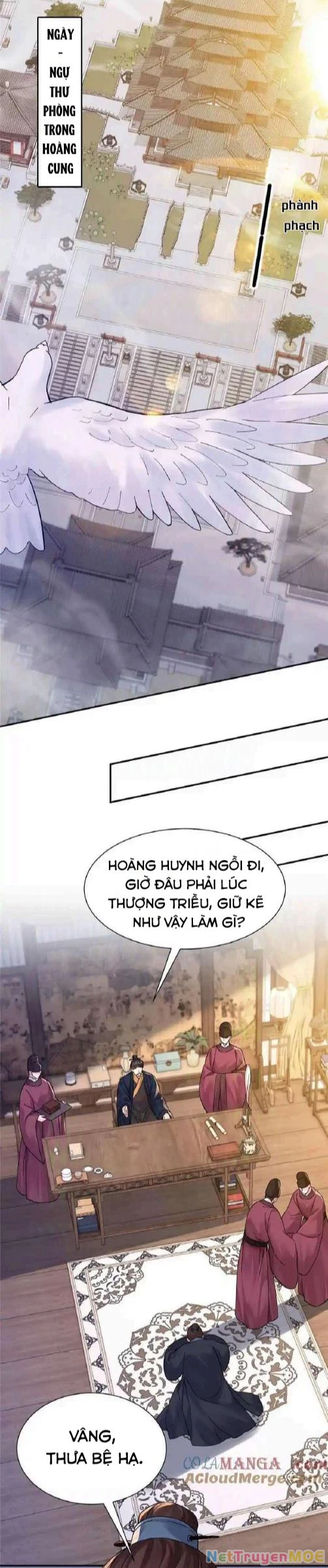 Thiều Quang Mạn Chapter 173 - Trang 4