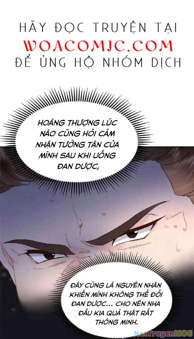 Thiều Quang Mạn Chapter 173 - Trang 4