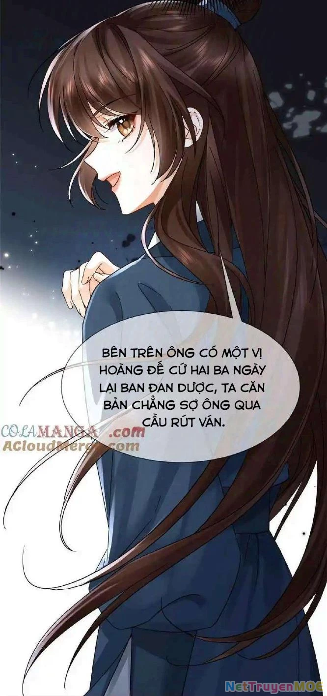 Thiều Quang Mạn Chapter 173 - Trang 4