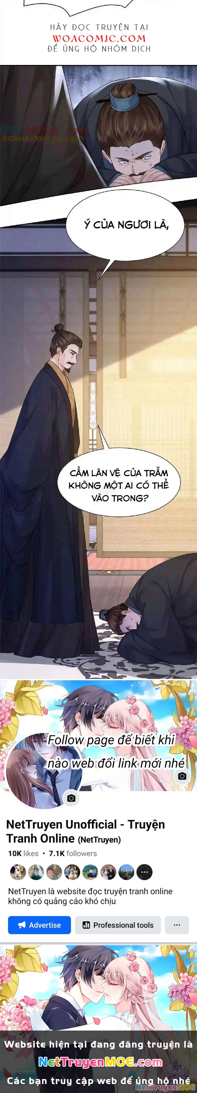 Thiều Quang Mạn Chapter 173 - Trang 4