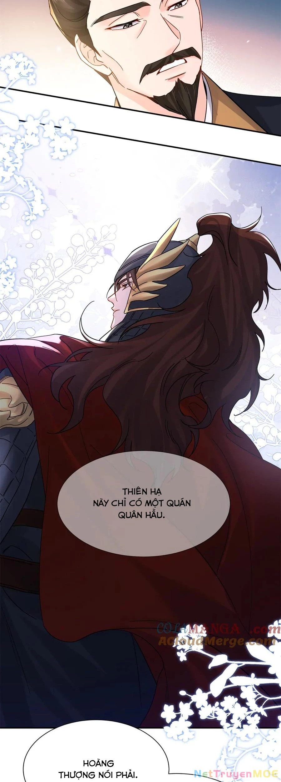 Thiều Quang Mạn Chapter 174 - Trang 4