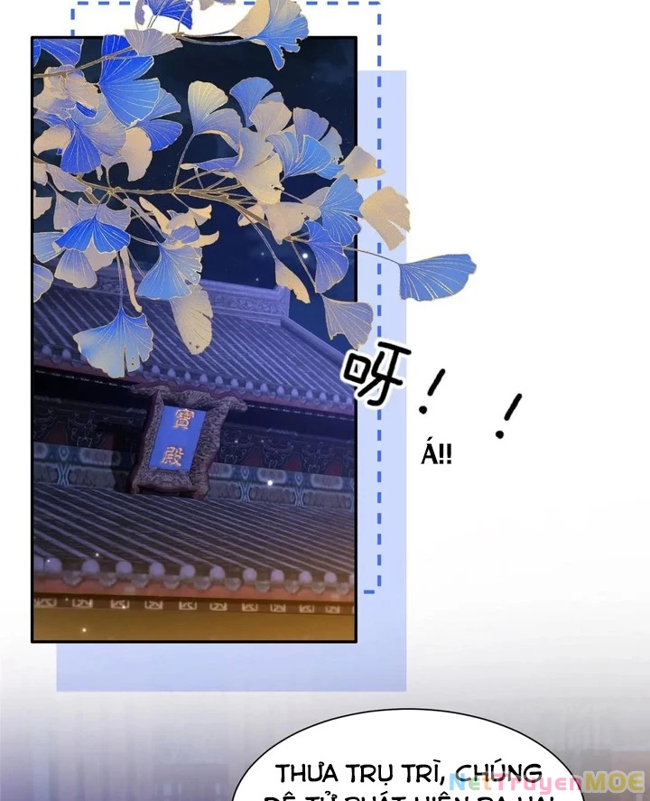 Thiều Quang Mạn Chapter 175 - Next Chapter 176