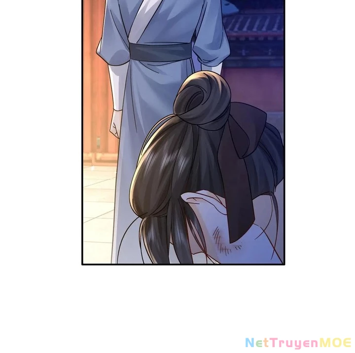 Thiều Quang Mạn Chapter 175 - Next Chapter 176