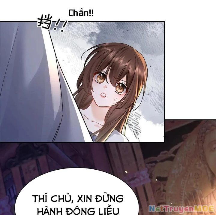Thiều Quang Mạn Chapter 175 - Next Chapter 176