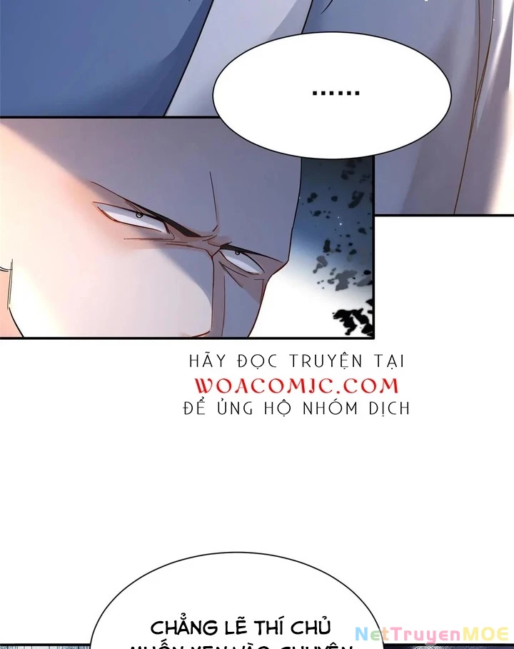 Thiều Quang Mạn Chapter 175 - Next Chapter 176