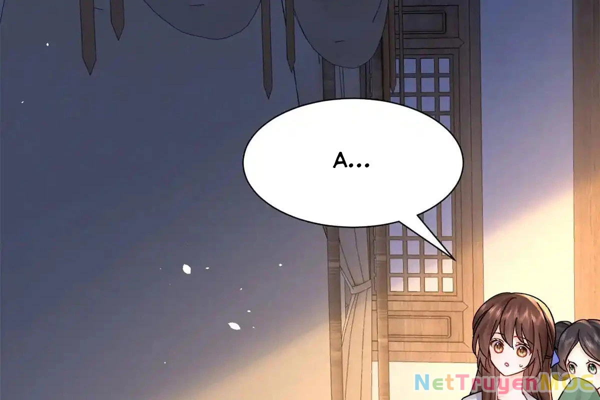 Thiều Quang Mạn Chapter 176 - Trang 4