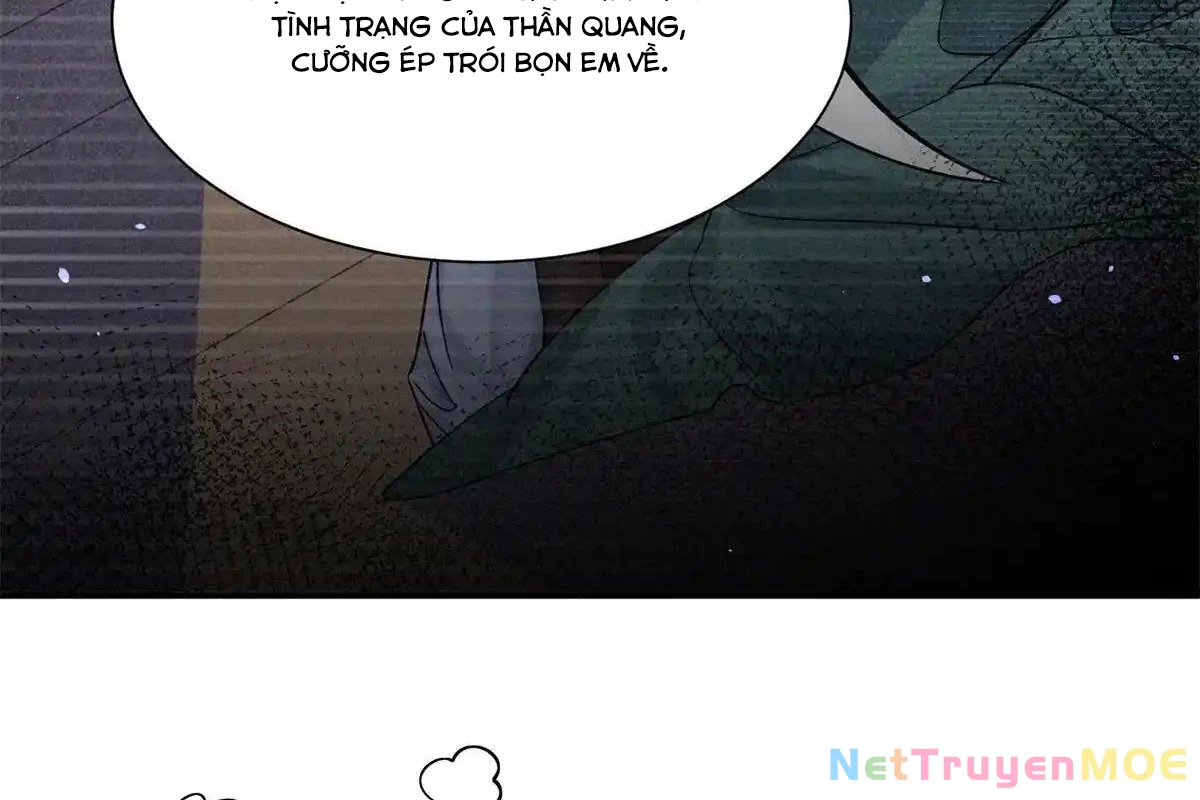 Thiều Quang Mạn Chapter 176 - Trang 4