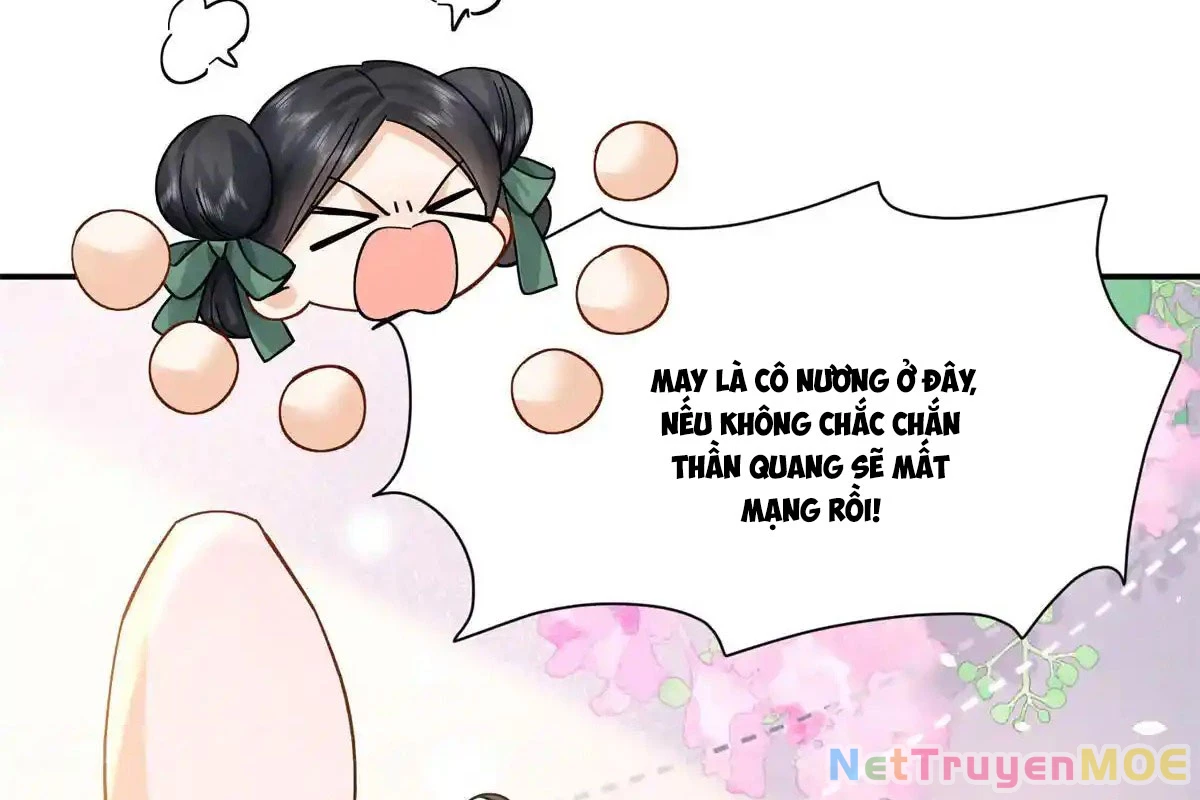 Thiều Quang Mạn Chapter 176 - Trang 4