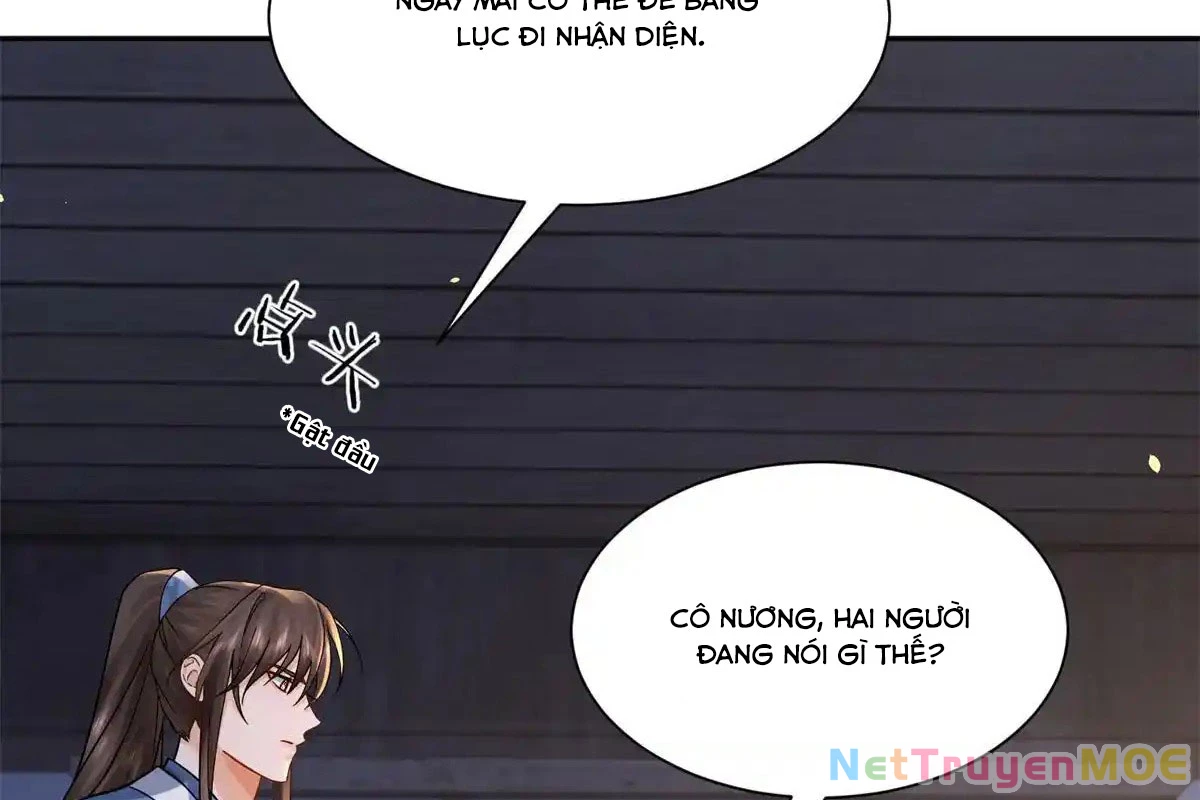 Thiều Quang Mạn Chapter 176 - Trang 4