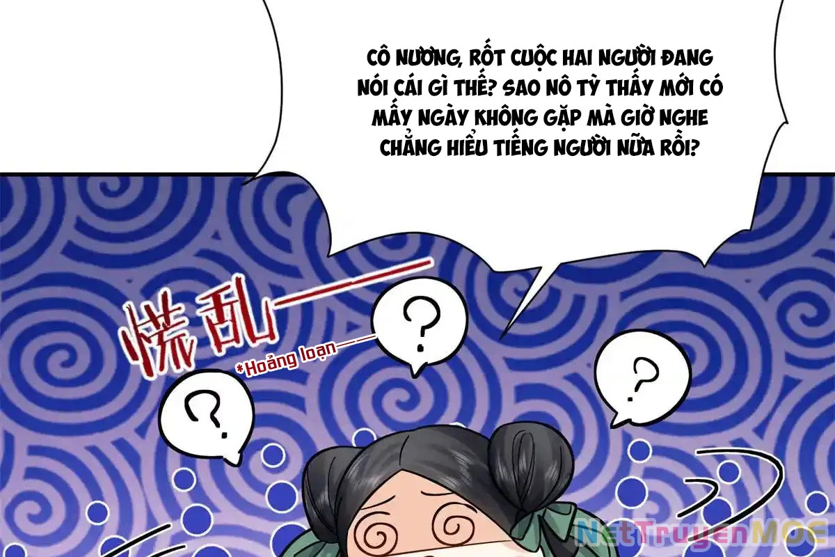 Thiều Quang Mạn Chapter 176 - Trang 4