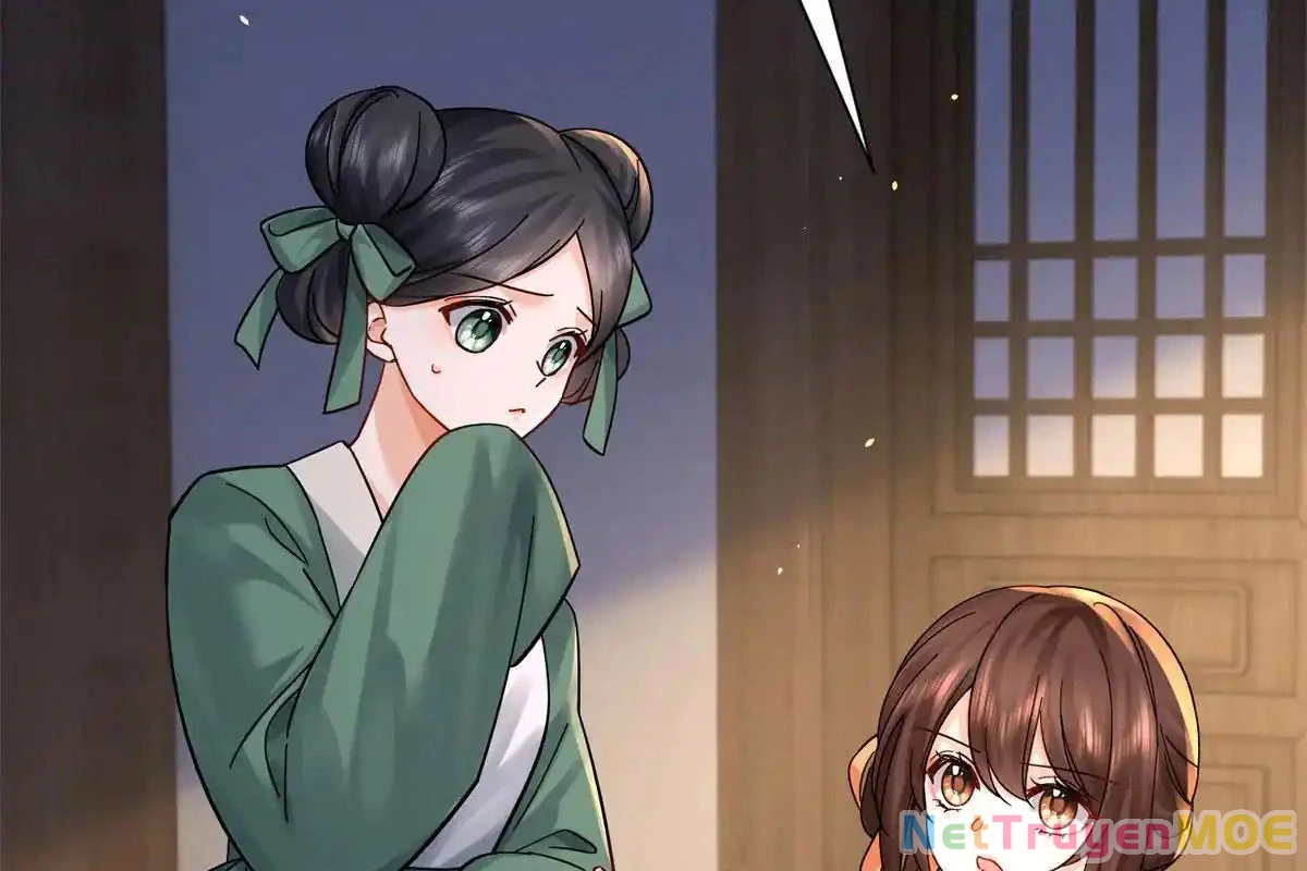 Thiều Quang Mạn Chapter 176 - Trang 4