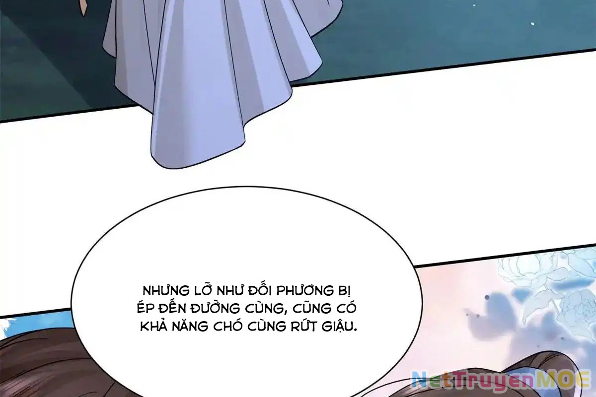 Thiều Quang Mạn Chapter 176 - Trang 4