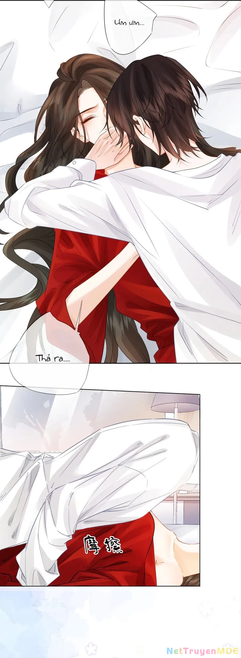 Ta Thân Ái Pháp Y Tiểu Thư Chapter 81 - Trang 3