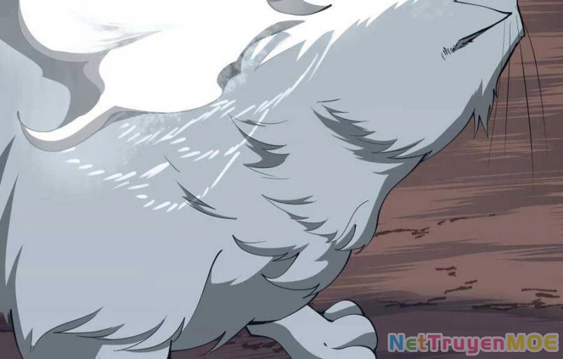 Ánh Sáng Cuối Con Đường Chapter 156.5 - Trang 2