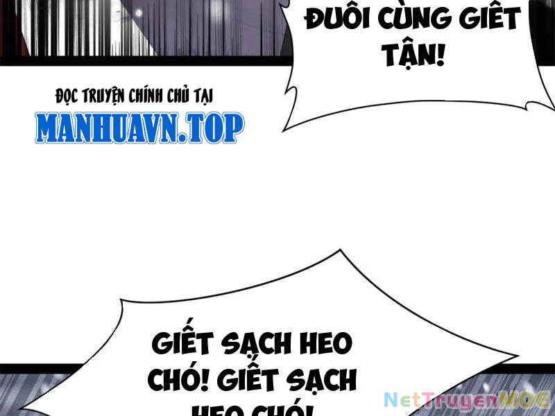 Chàng Rể Mạnh Nhất Lịch Sử Chapter 282 - Trang 4