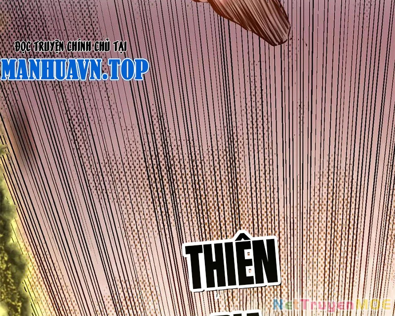 Đỉnh Cấp Khí Vận, Lặng Lẽ Tu Luyện Ngàn Năm Chapter 208 - Trang 2