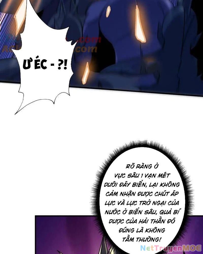 Vừa Chơi Đã Có Tài Khoản Vương Giả Chapter 509 - Trang 4