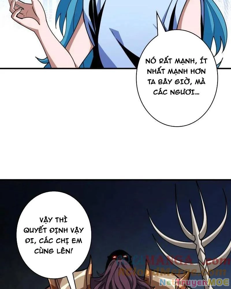 Vừa Chơi Đã Có Tài Khoản Vương Giả Chapter 509 - Trang 4