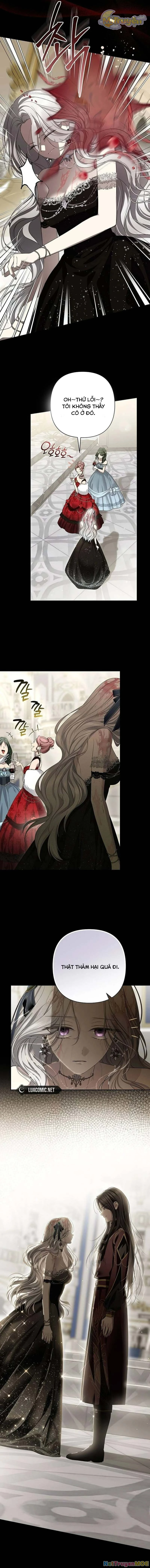 Presepe Bên Ngoài Chiếc Lồng Chapter 22 - Next 