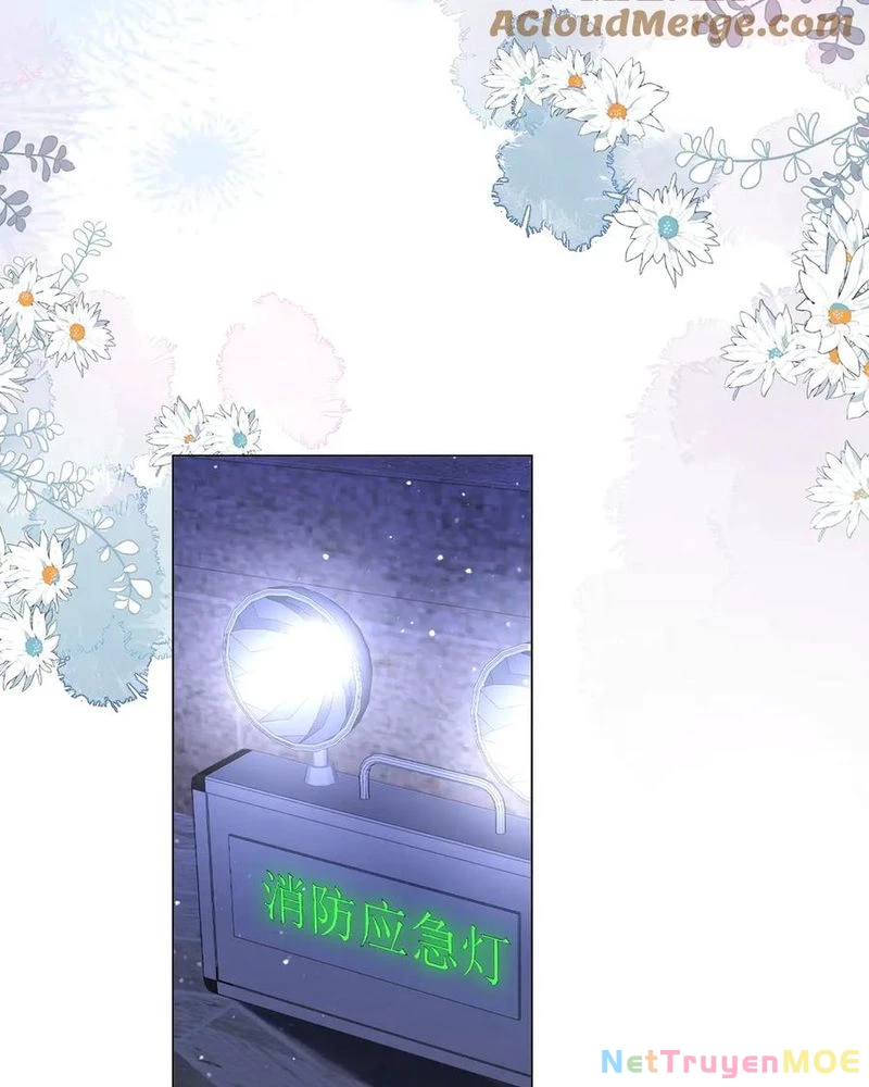 Em Chỉ Có Thể Là Của Tôi Chapter 138 - Trang 4