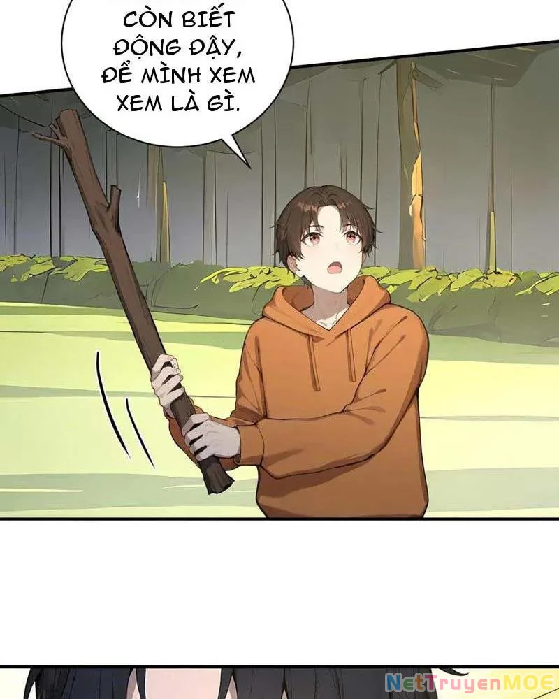 Vô Địch Bắt Đầu Từ Trúc Cơ Chapter 53 - Trang 3