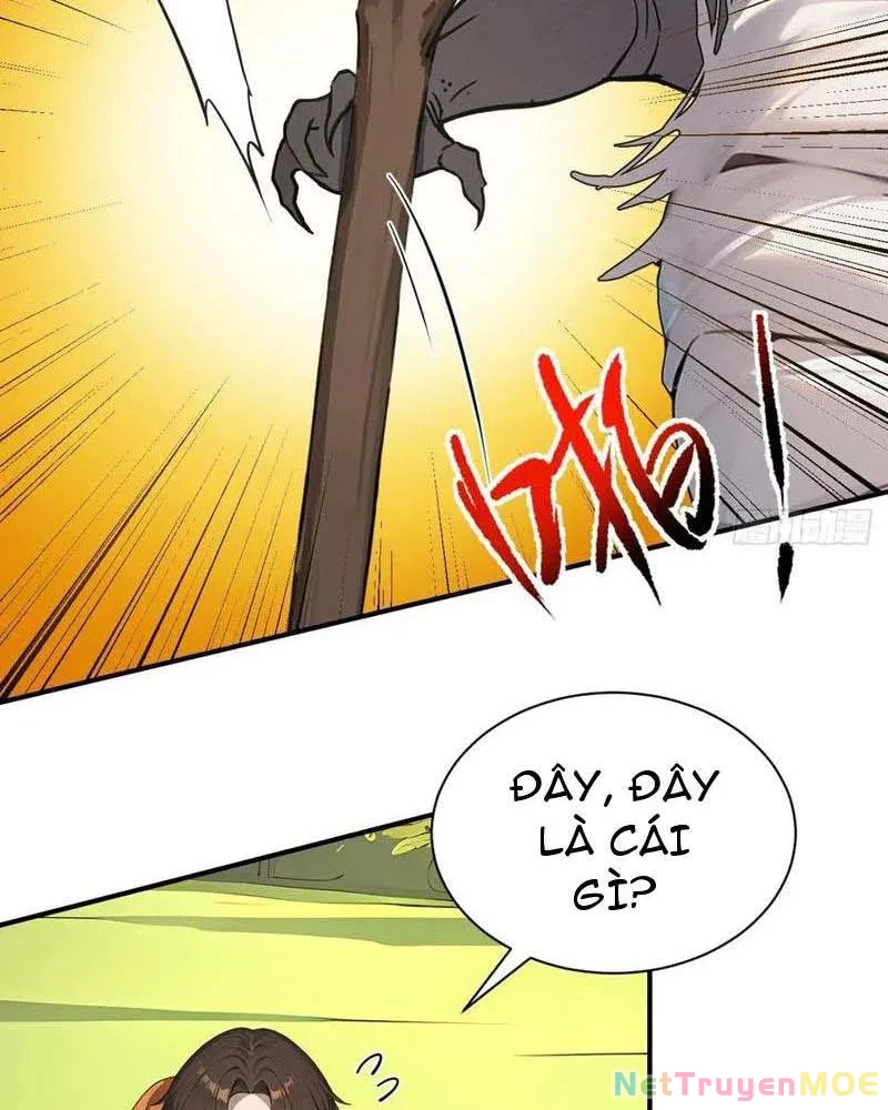 Vô Địch Bắt Đầu Từ Trúc Cơ Chapter 53 - Trang 3