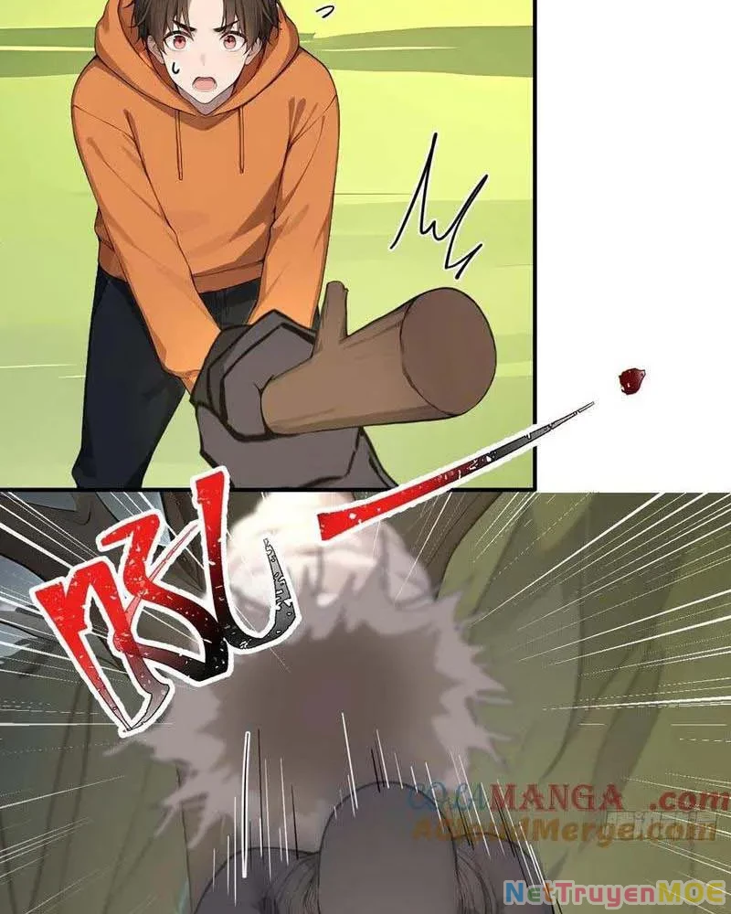 Vô Địch Bắt Đầu Từ Trúc Cơ Chapter 53 - Trang 3