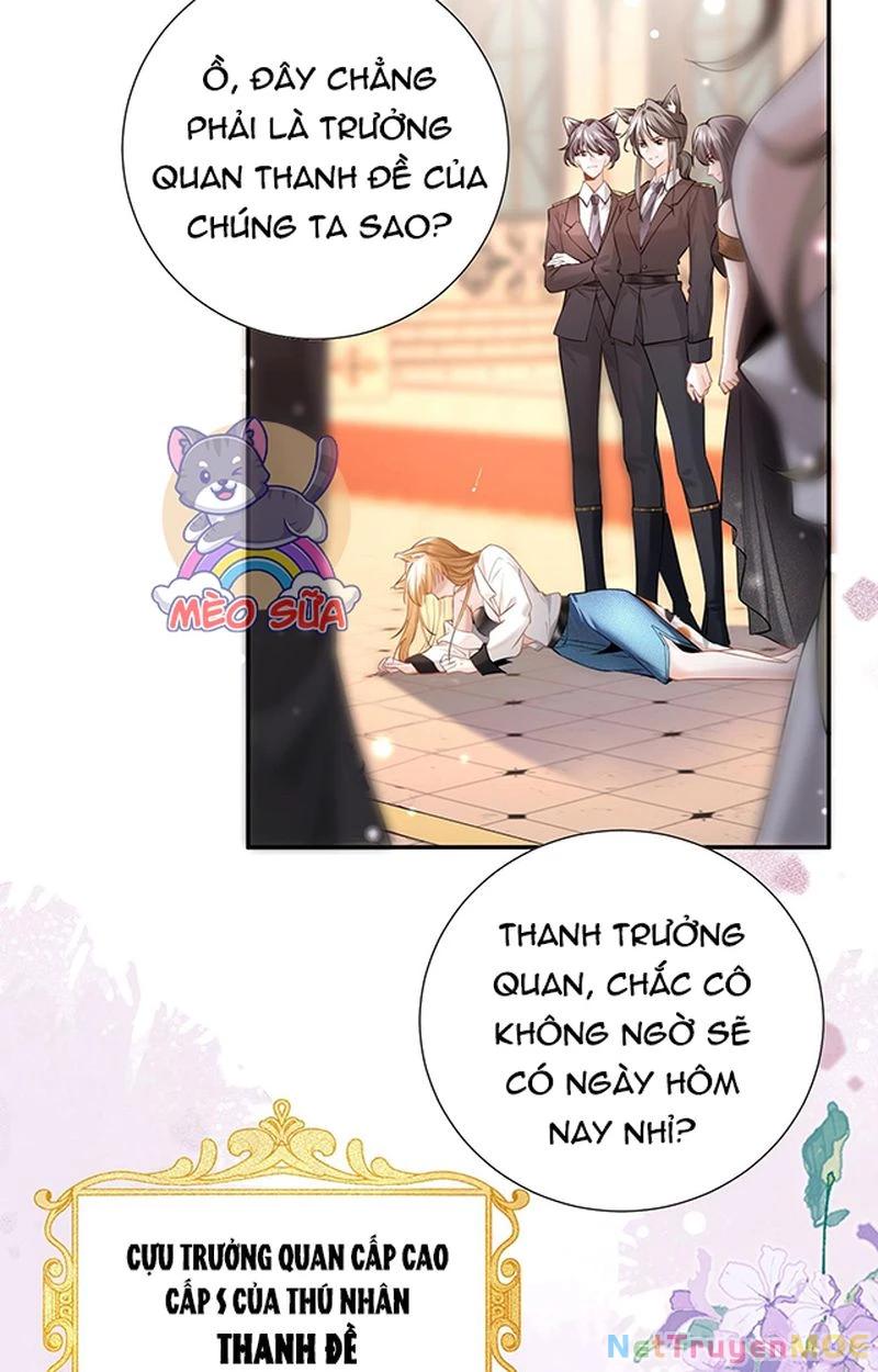 Thưa Ngài, Đuôi Của Ngài Không Giấu Được Nữa Rồi Chapter 1 - Trang 2