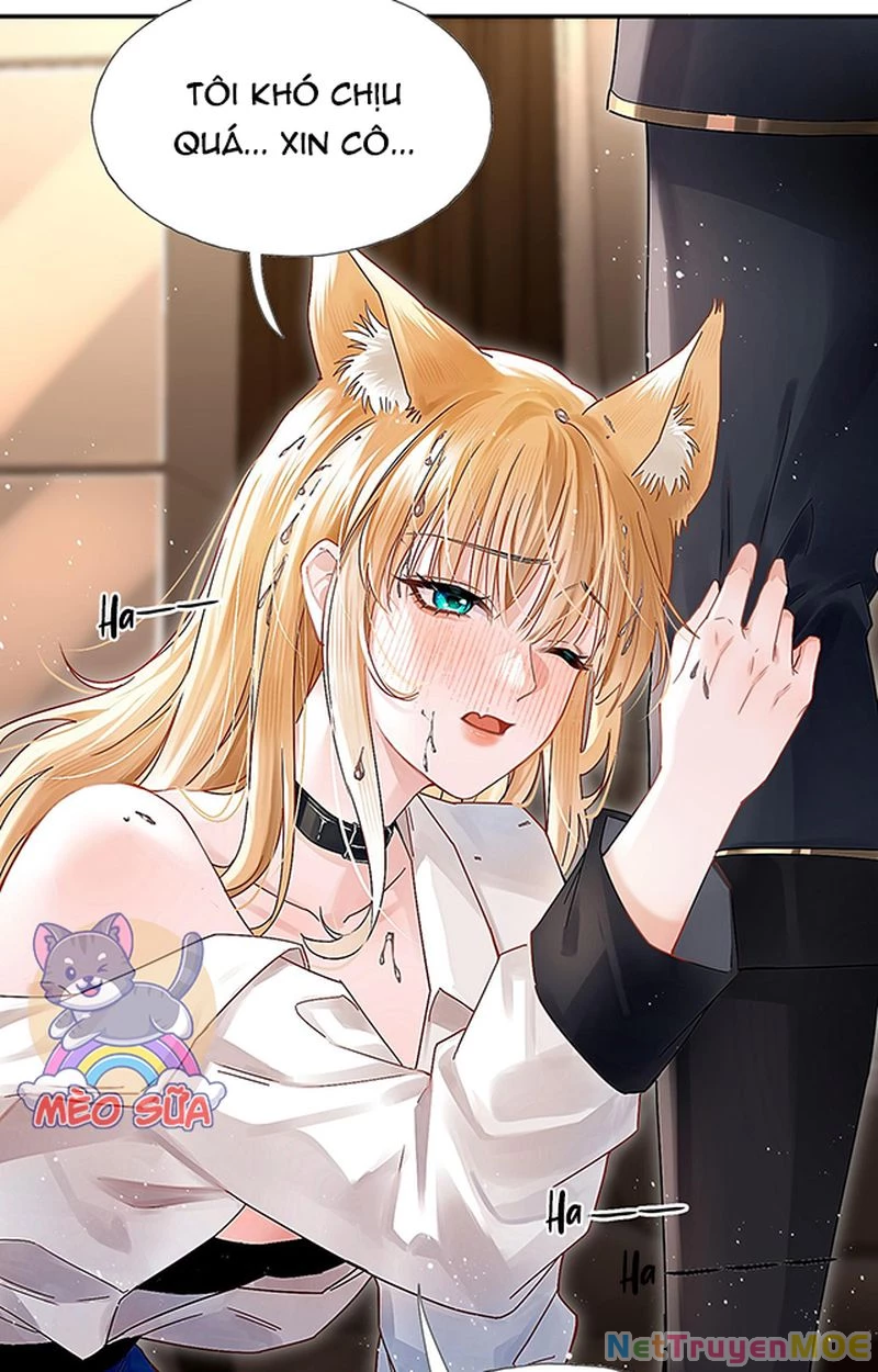 Thưa Ngài, Đuôi Của Ngài Không Giấu Được Nữa Rồi Chapter 1 - Trang 2