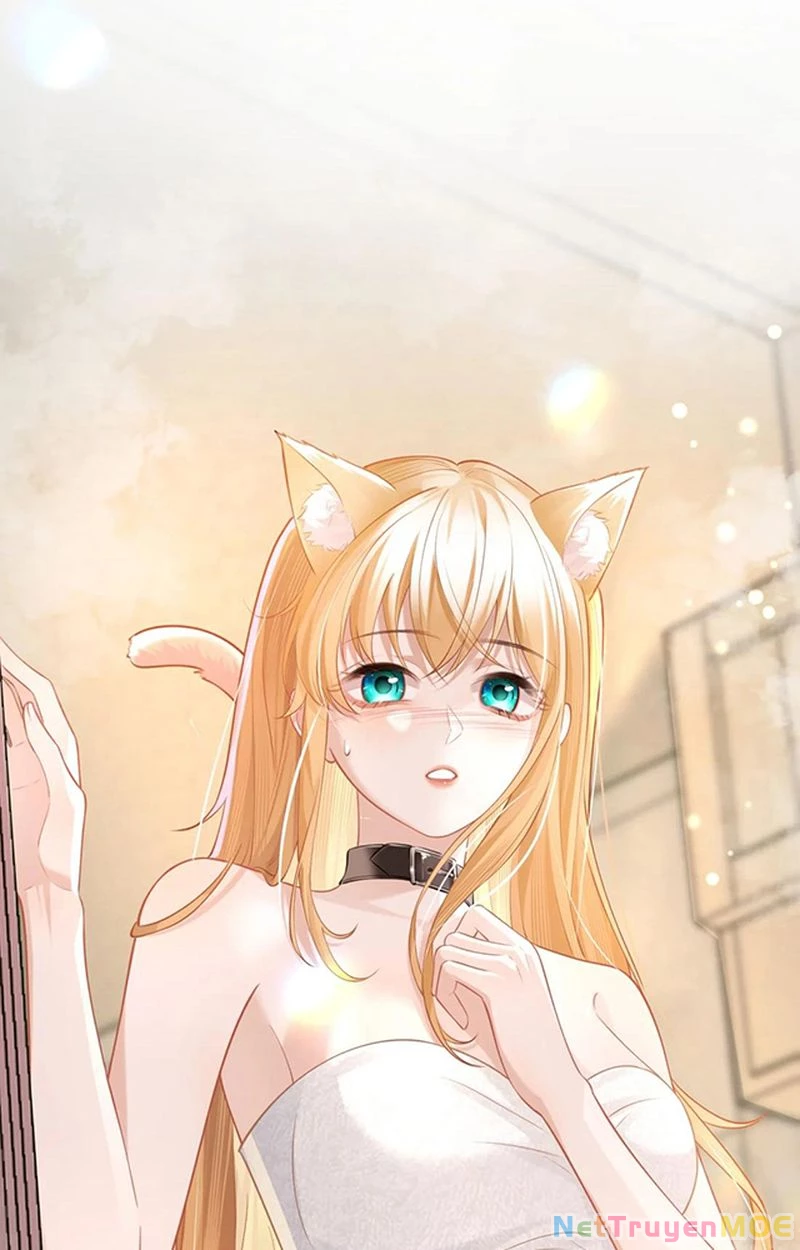 Thưa Ngài, Đuôi Của Ngài Không Giấu Được Nữa Rồi Chapter 2 - Trang 2