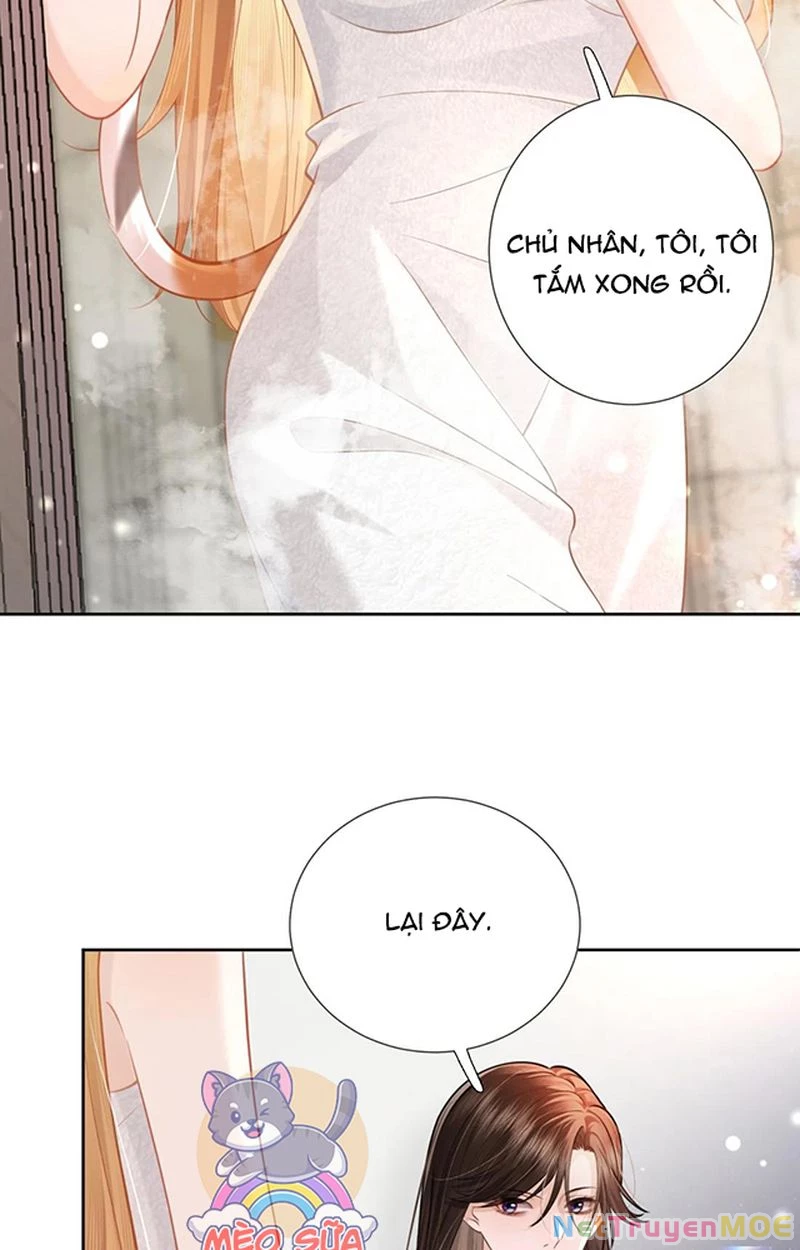 Thưa Ngài, Đuôi Của Ngài Không Giấu Được Nữa Rồi Chapter 2 - Trang 2