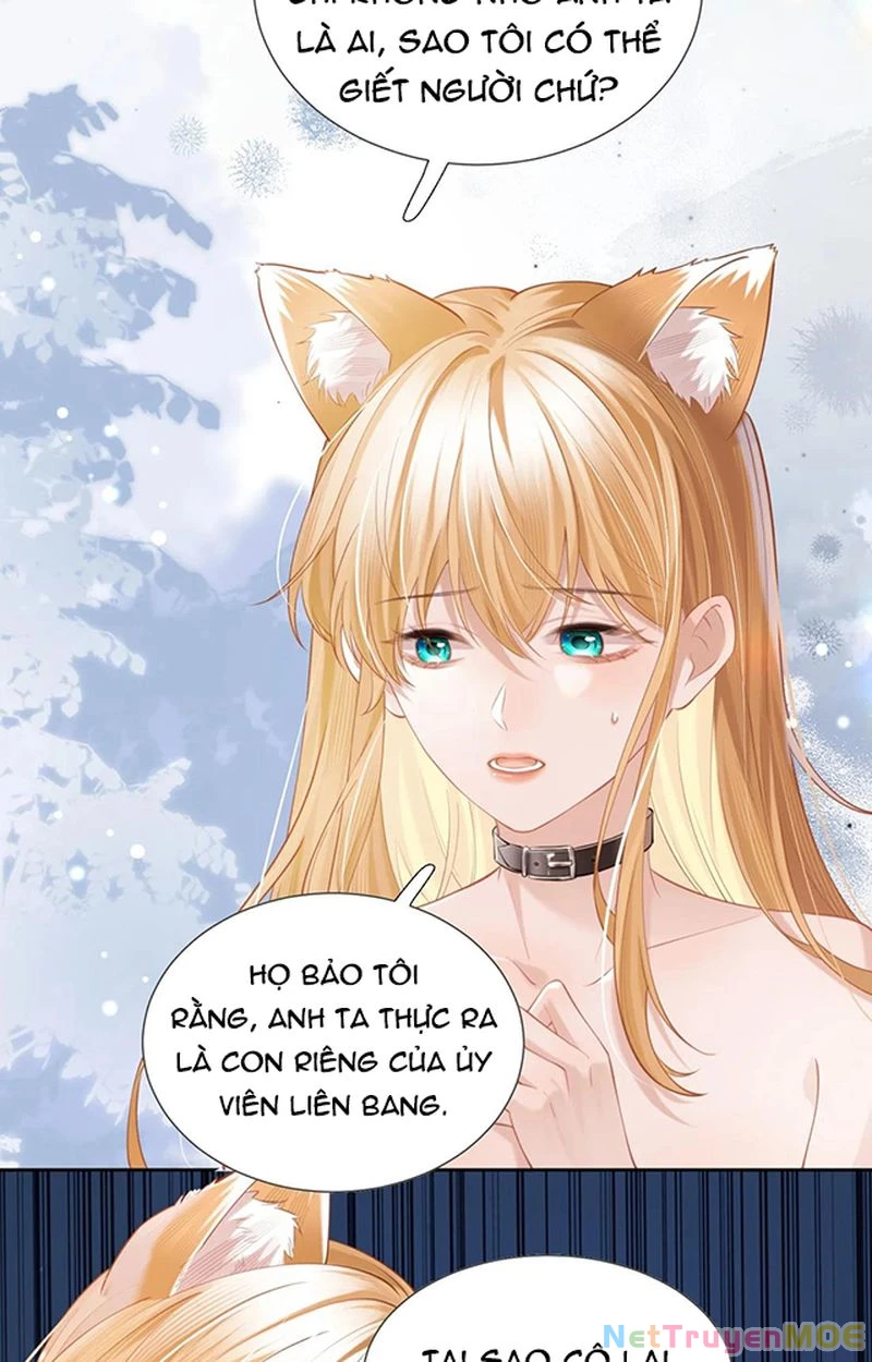 Thưa Ngài, Đuôi Của Ngài Không Giấu Được Nữa Rồi Chapter 2 - Trang 2